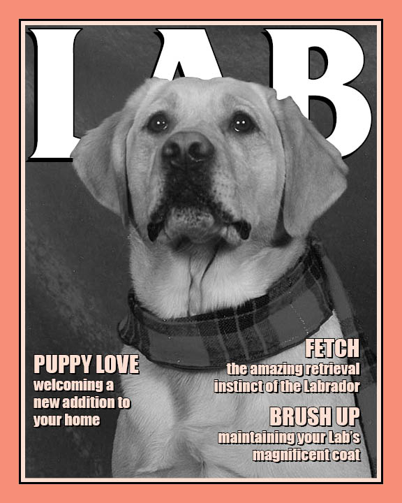 Project Builder 5-1: 2Color Cover